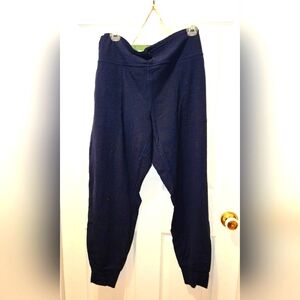 Navy Blue Lululemon align joggers